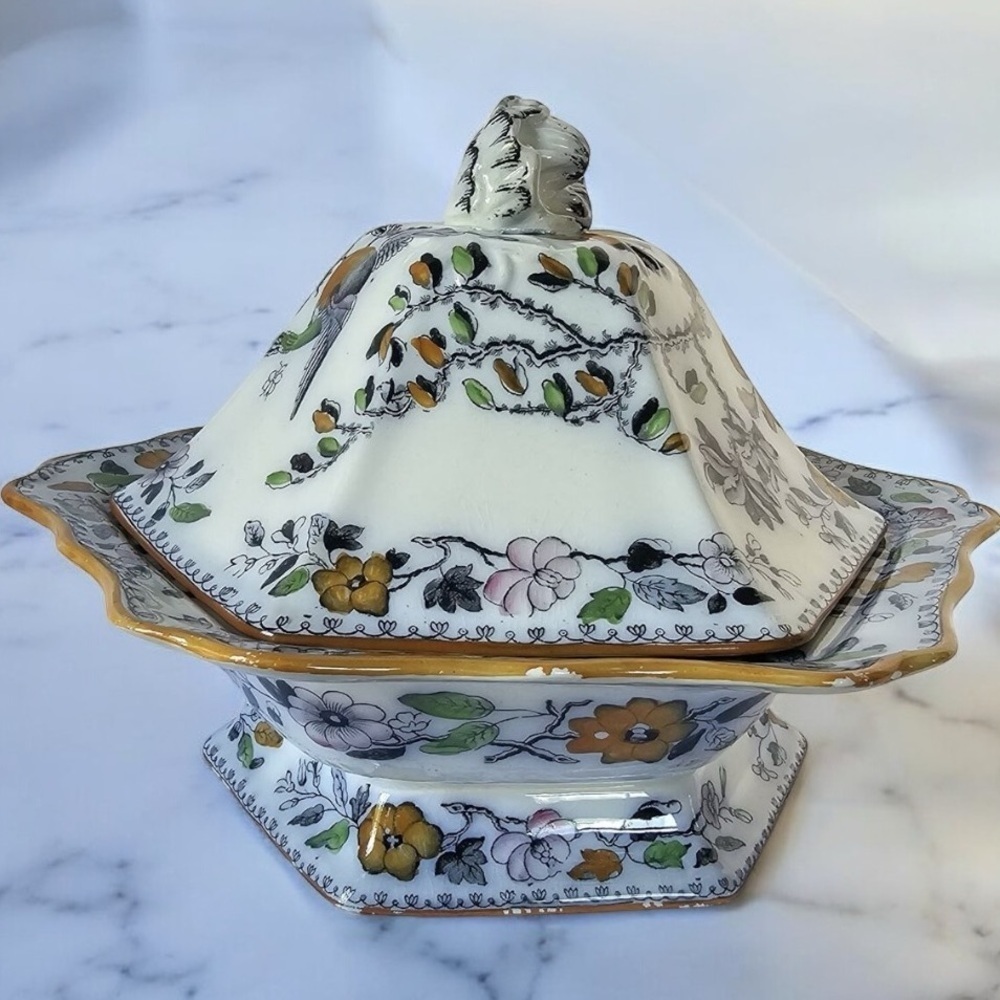 Ashewood Brothers Hanley Tureen & Lid Floral Flying Birds England 1895